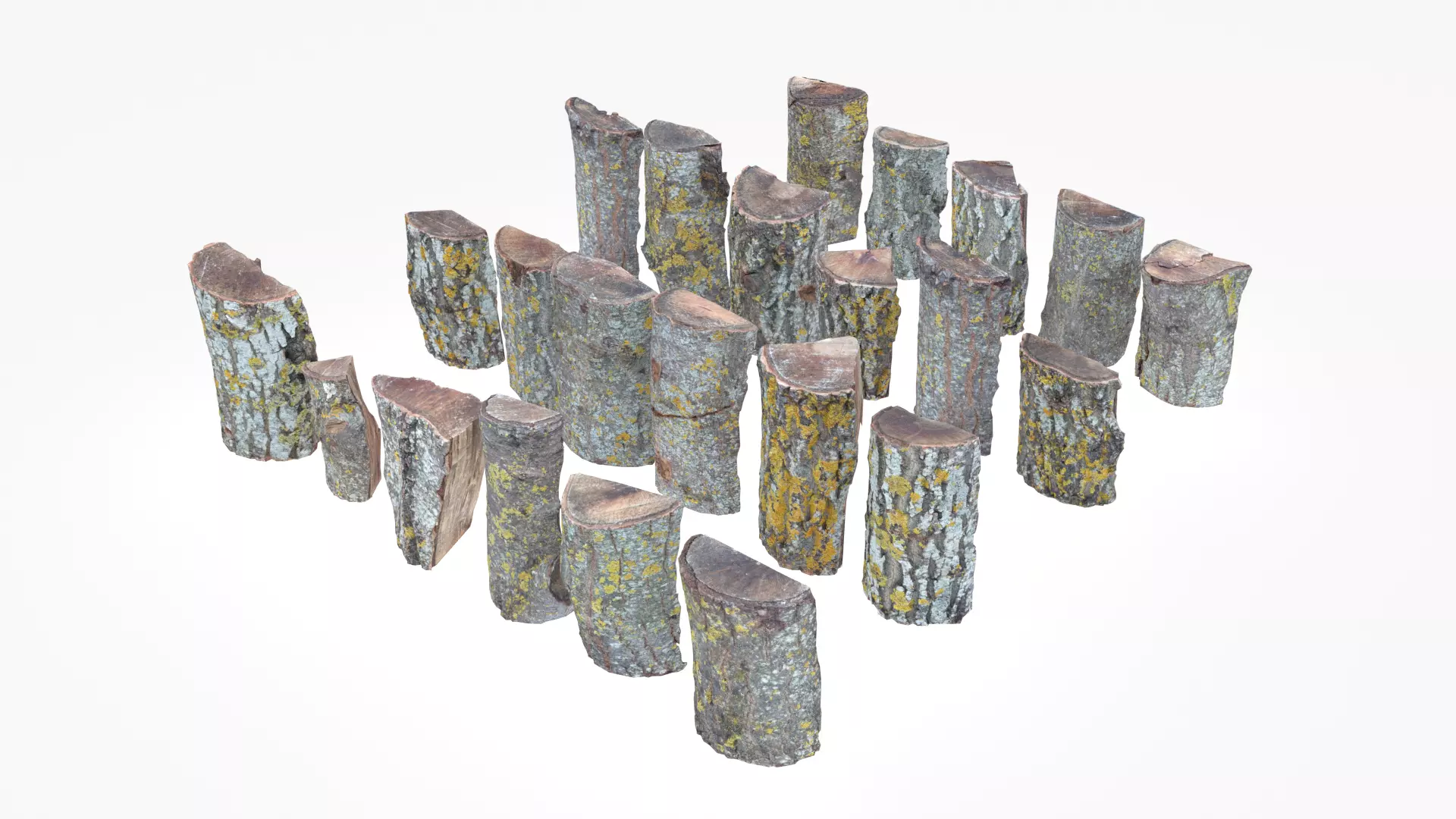 Wood Scan Pack Low-poly 3D model_0