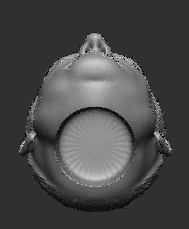 Sir Alex Ferguson HEAD WITH HAIR 3D STL FOR PRINT 3D print model_19