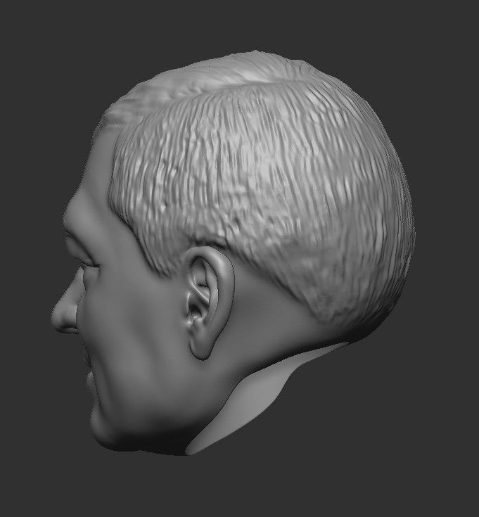 Sir Alex Ferguson HEAD WITH HAIR 3D STL FOR PRINT 3D print model_12