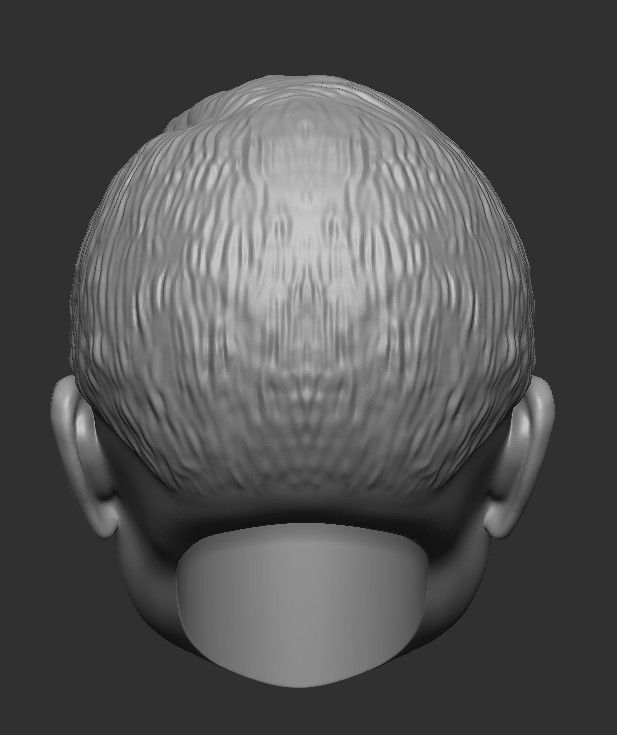 Sir Alex Ferguson HEAD WITH HAIR 3D STL FOR PRINT 3D print model_16