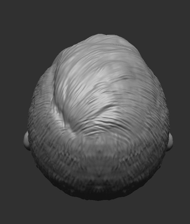 Sir Alex Ferguson HEAD WITH HAIR 3D STL FOR PRINT 3D print model_17