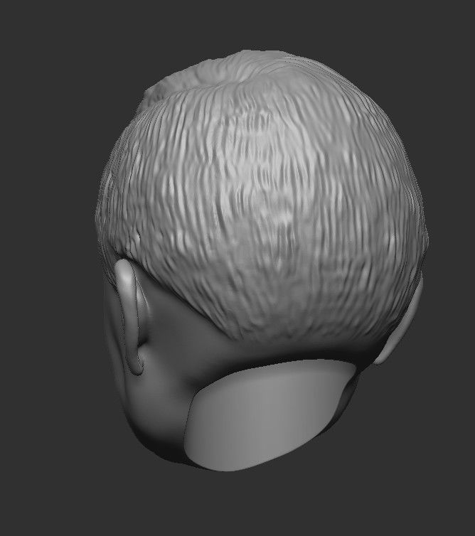 Sir Alex Ferguson HEAD WITH HAIR 3D STL FOR PRINT 3D print model_15
