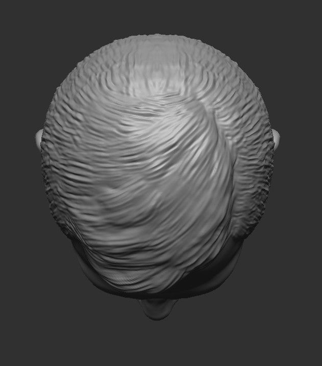 Sir Alex Ferguson HEAD WITH HAIR 3D STL FOR PRINT 3D print model_21