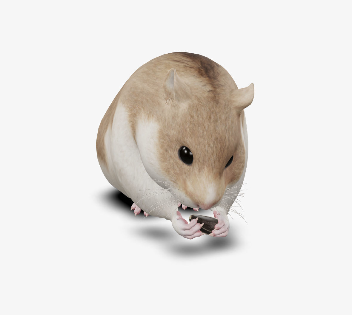 hamster Low-poly 3D model_1