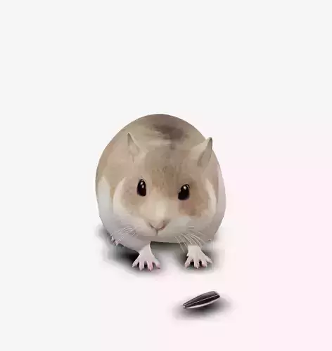hamster Low-poly 3D model