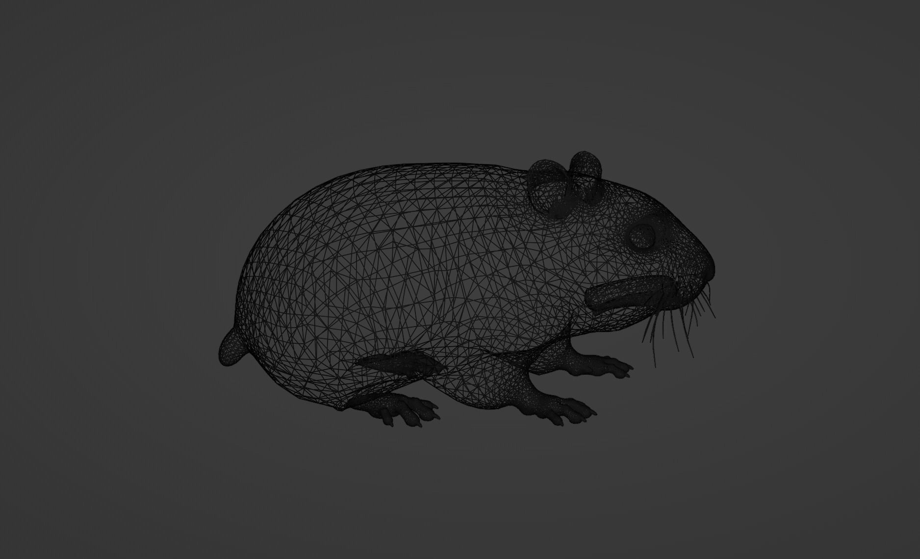 hamster Low-poly 3D model_7