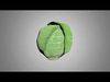 Cabbage 3D model_1