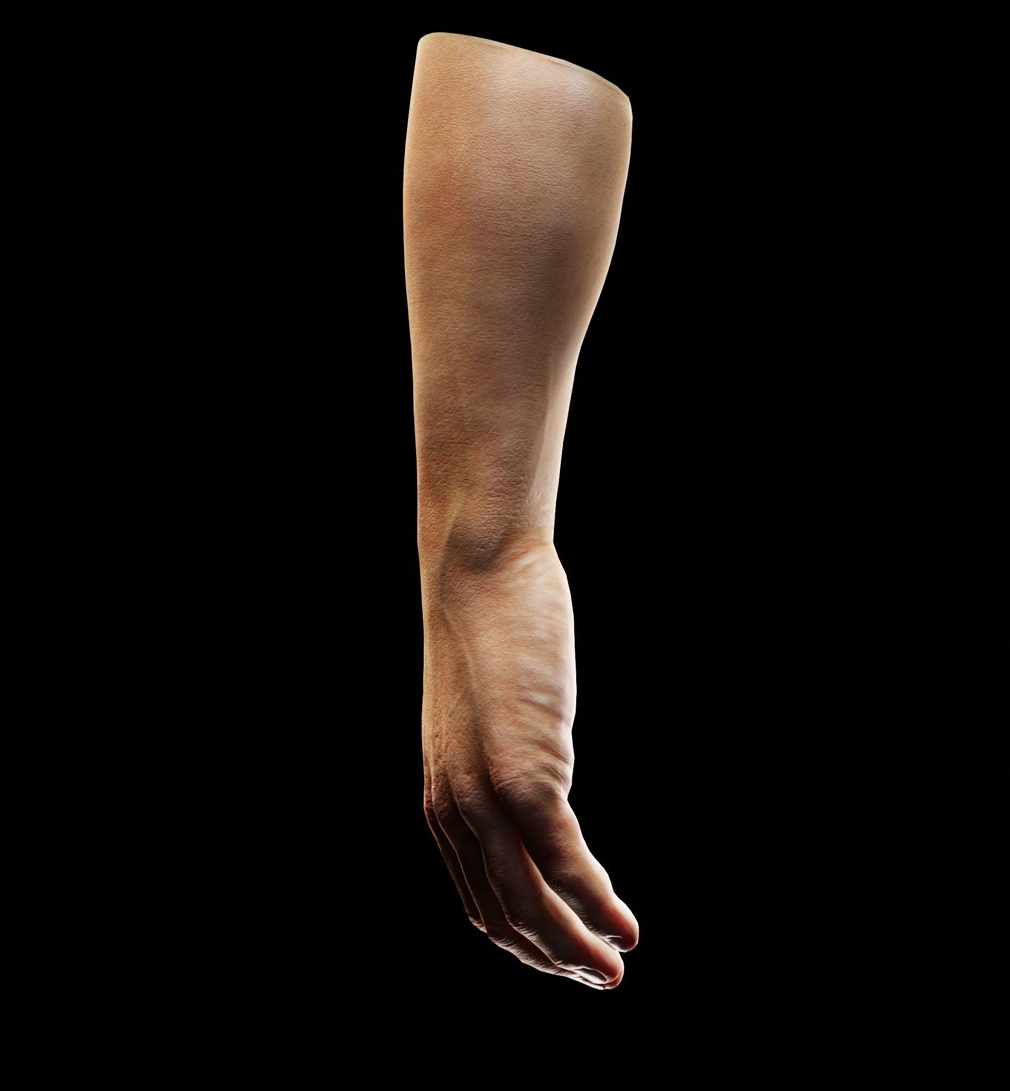 Man Hand  Human Low-poly 3D model_3