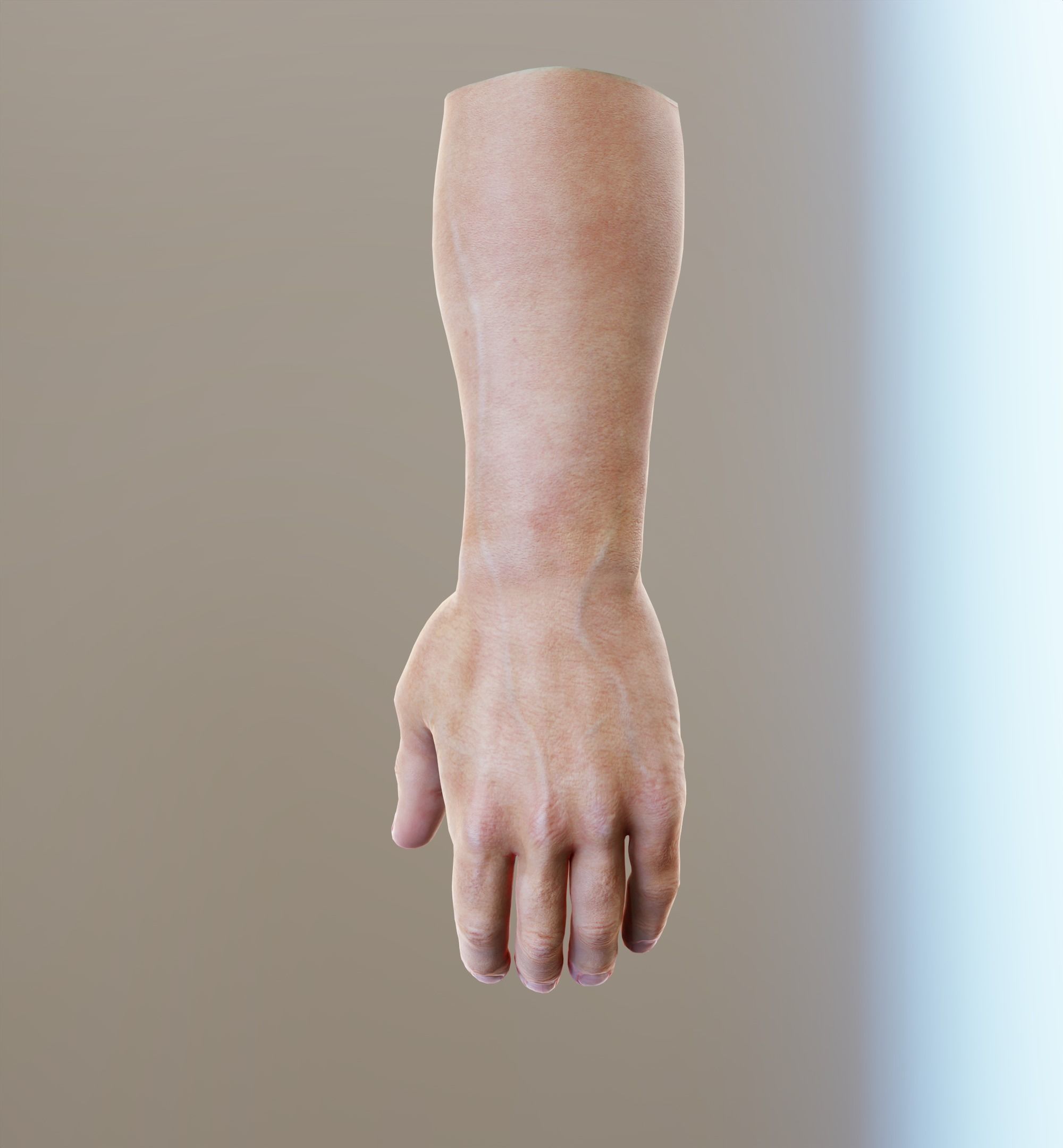 Man Hand  Human Low-poly 3D model_20
