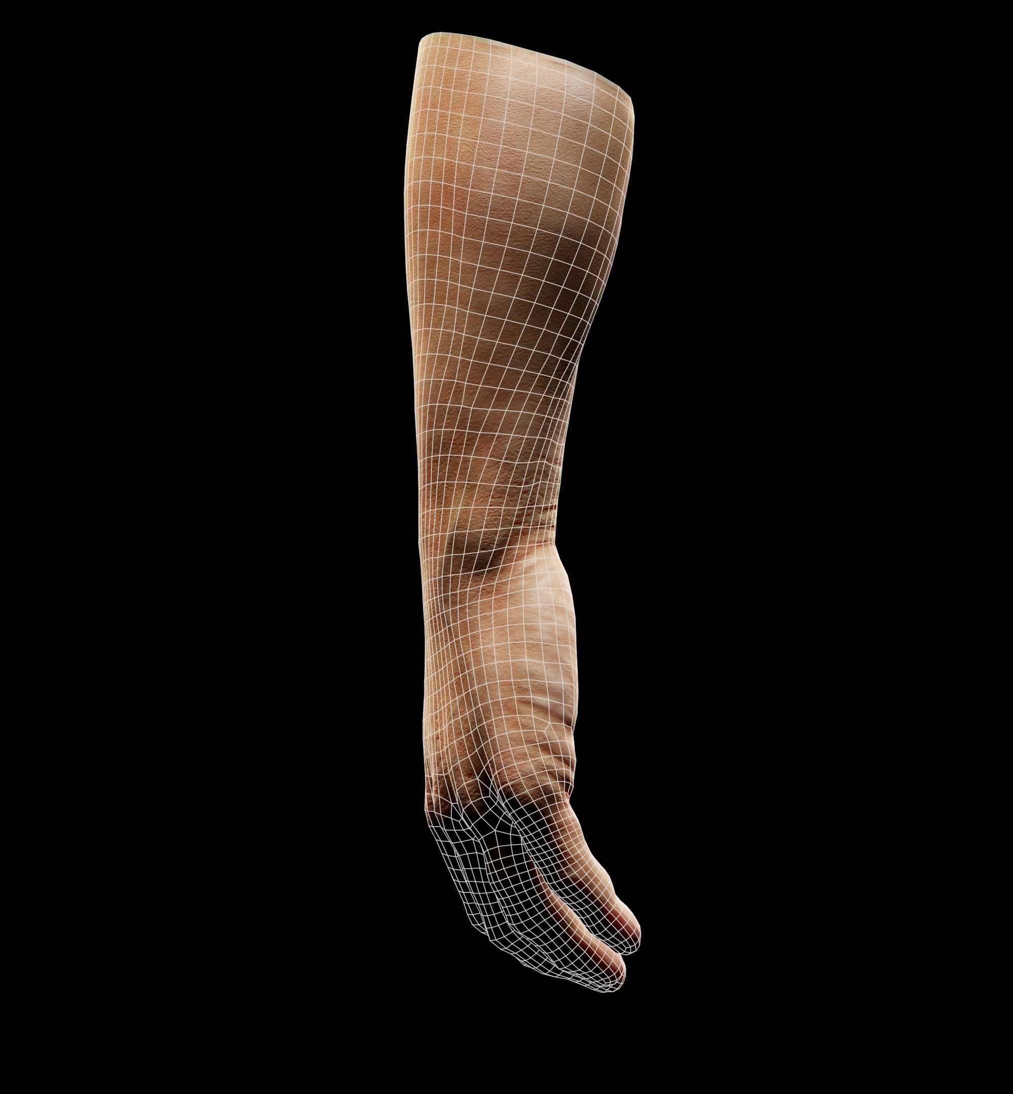 Man Hand  Human Low-poly 3D model_27