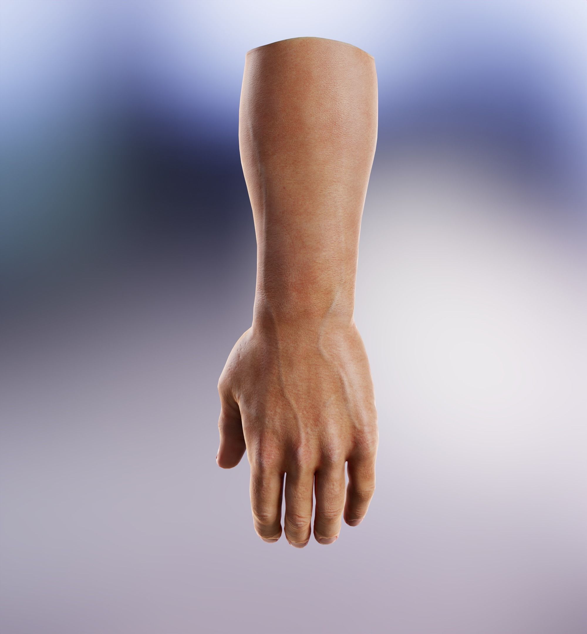 Man Hand  Human Low-poly 3D model_21