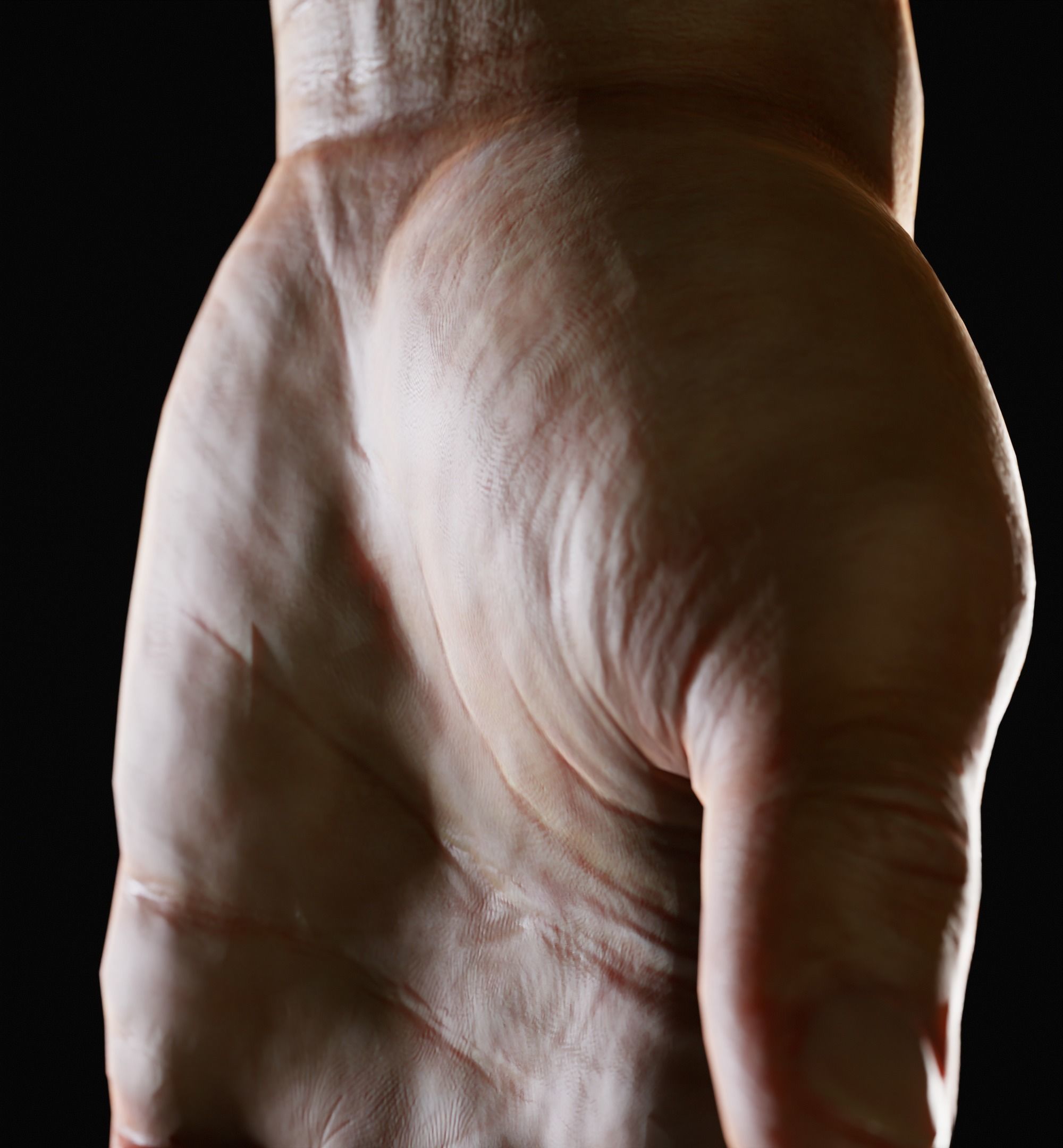 Man Hand  Human Low-poly 3D model_13