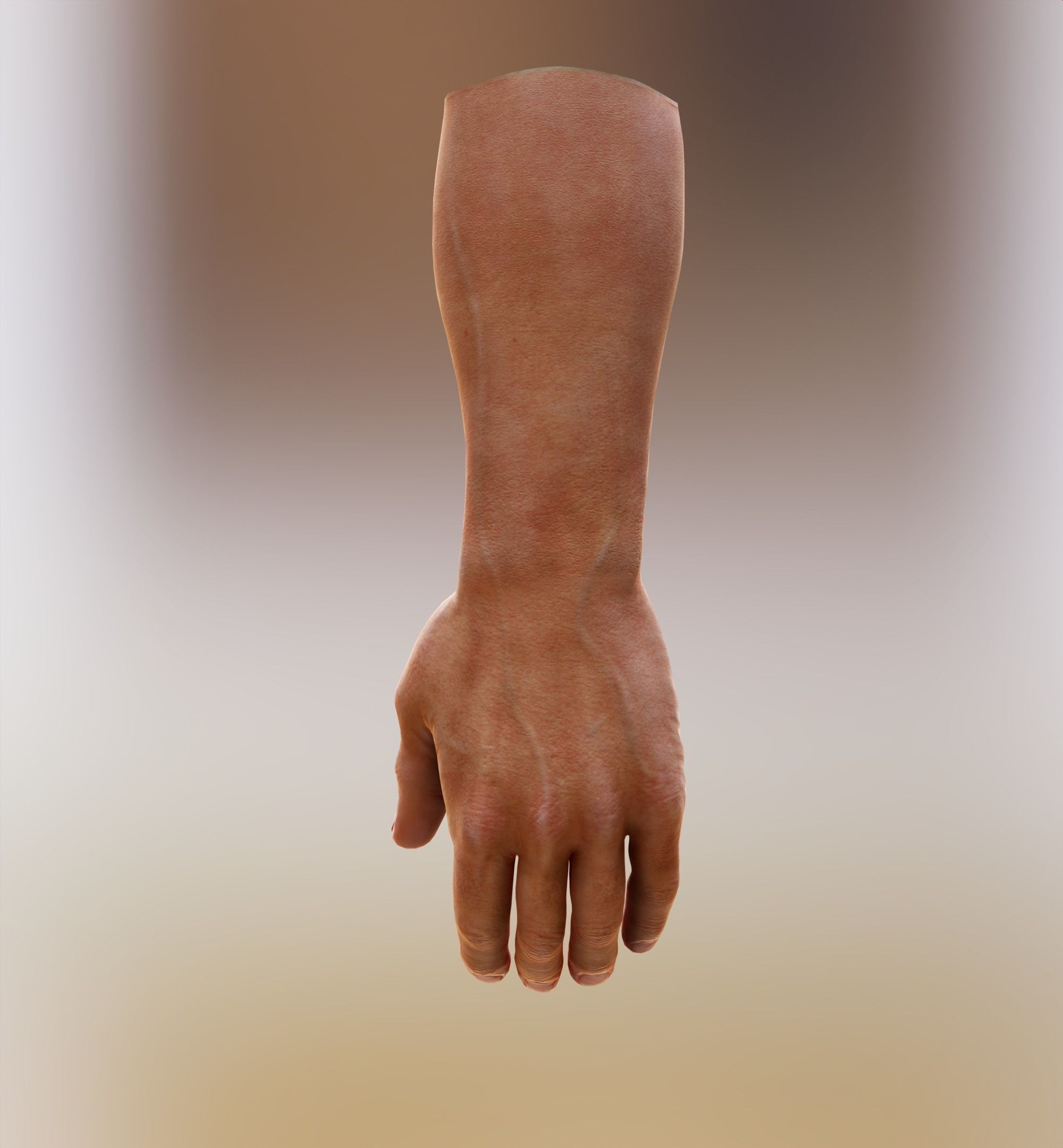 Man Hand  Human Low-poly 3D model_22