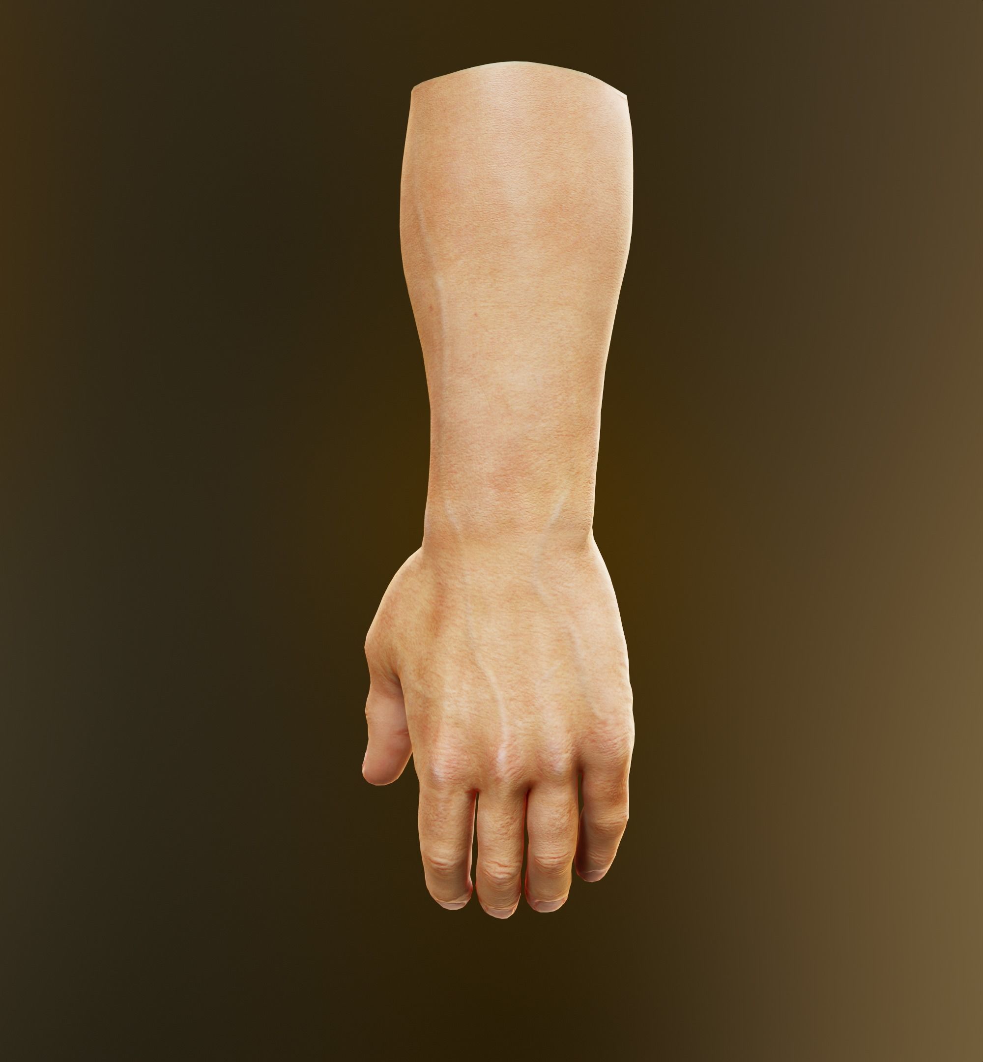 Man Hand  Human Low-poly 3D model_24