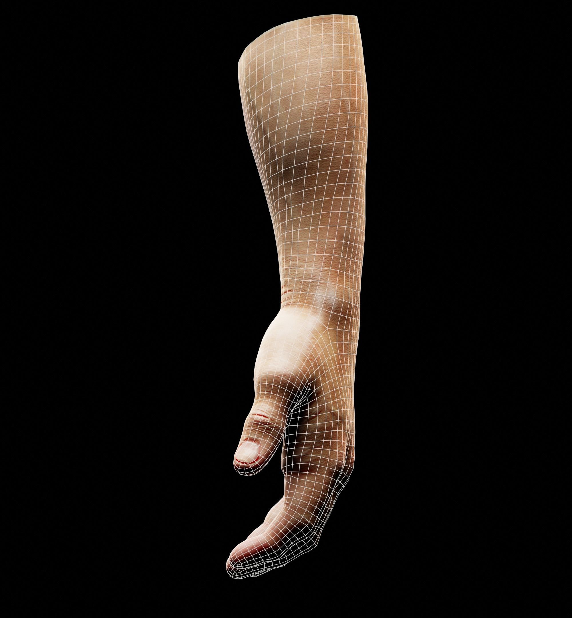 Man Hand  Human Low-poly 3D model_25