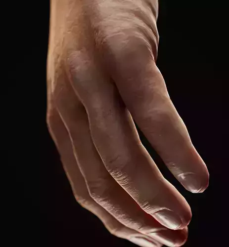 Man Hand  Human Low-poly 3D model