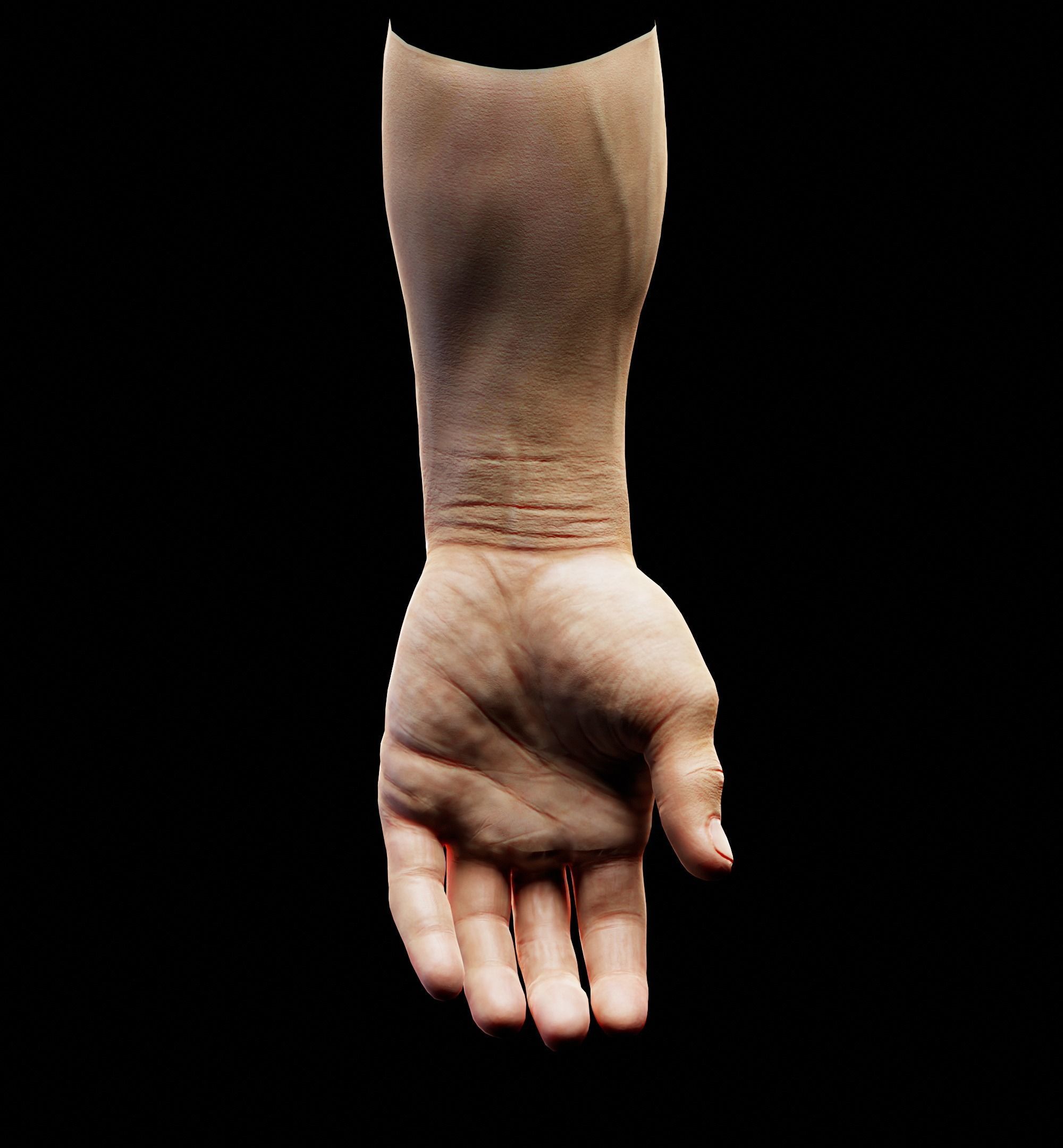 Man Hand  Human Low-poly 3D model_2