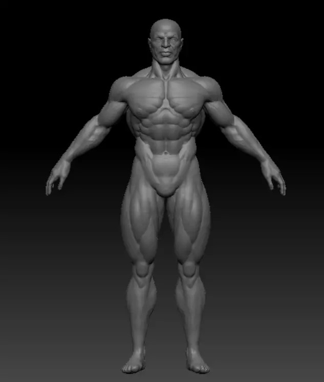 Body Builder 3D print model_0