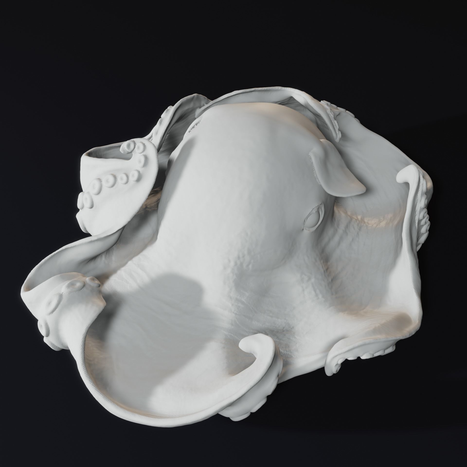 Flap jack Octopus Umbrella and Adorabilis 3D Print Model 3D print model_5