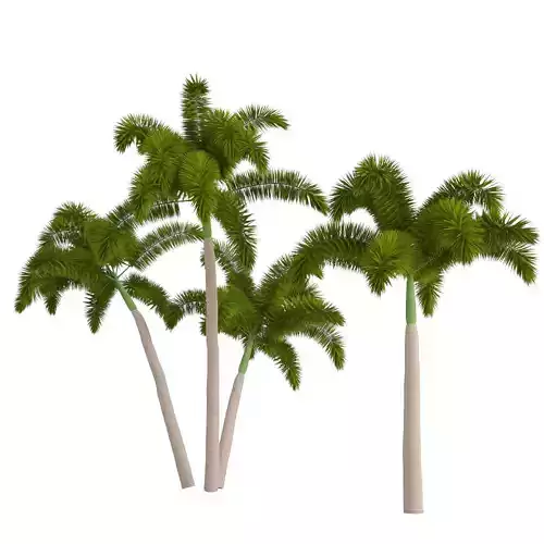 Tropical Foxtail Palm Trees Free low-poly 3D model