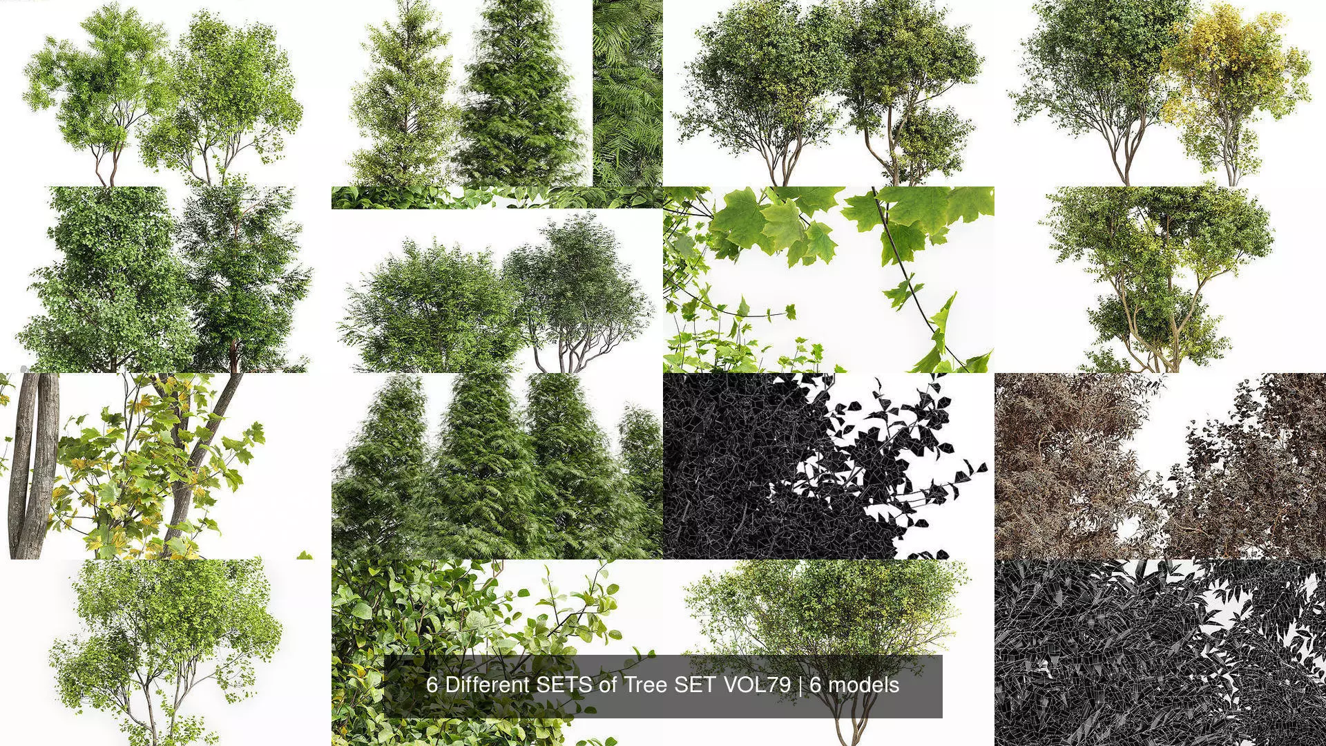 6 Different SETS of Tree SET VOL79 3D Model Collection_1