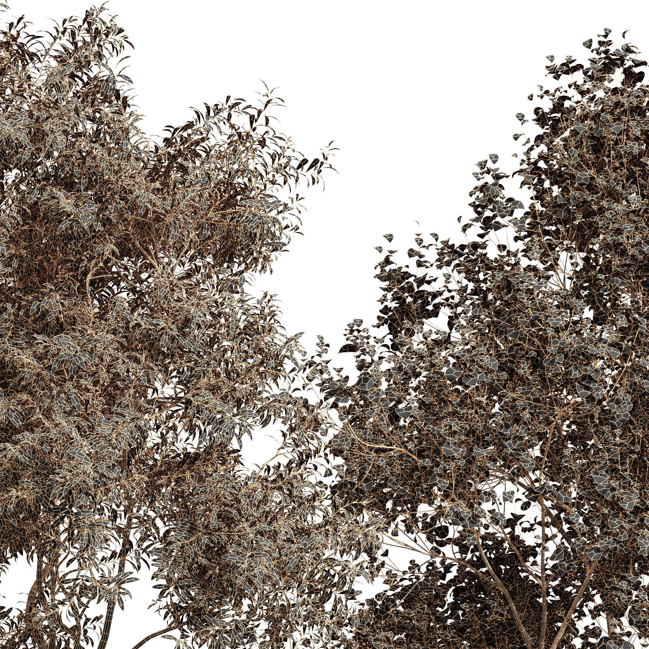 6 Different SETS of Tree SET VOL79 3D Model Collection_38