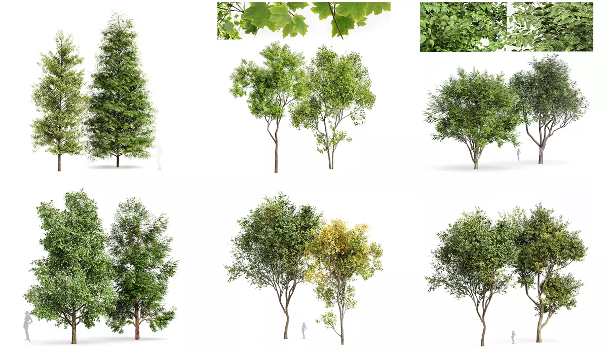 6 Different SETS of Tree SET VOL79 3D Model Collection_0
