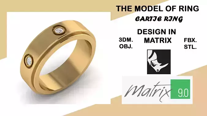 CARTIE model of ring VOL 33 3D print model