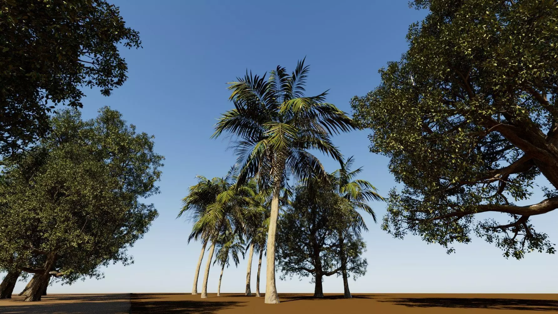 Coconut tree and 3d fantasy big tree 3D model_0