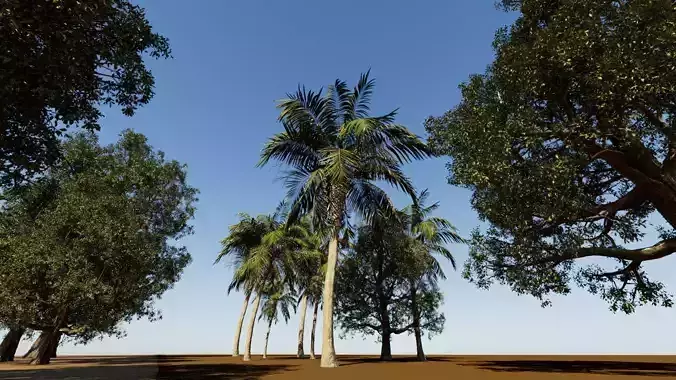 Coconut tree and 3d fantasy big tree