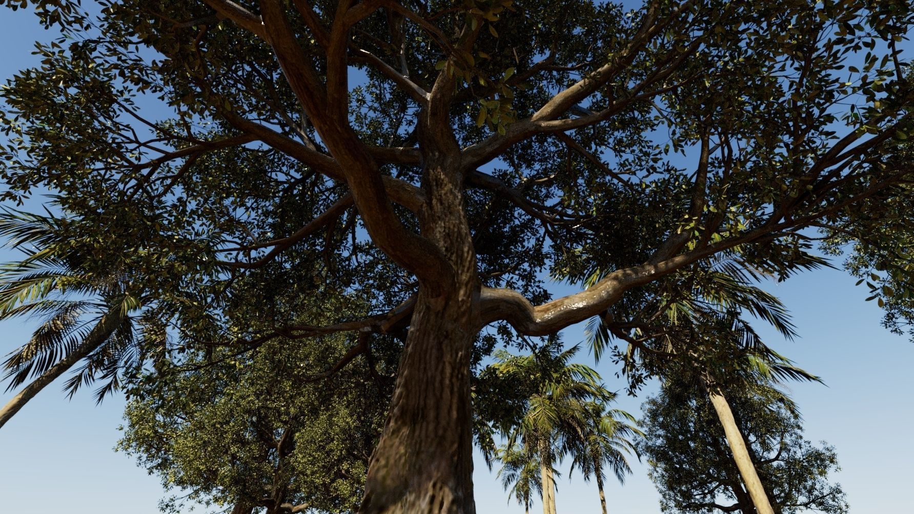 Coconut tree and 3d fantasy big tree 3D model_1