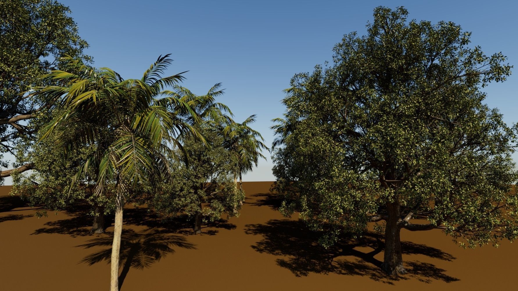 Coconut tree and 3d fantasy big tree 3D model_2