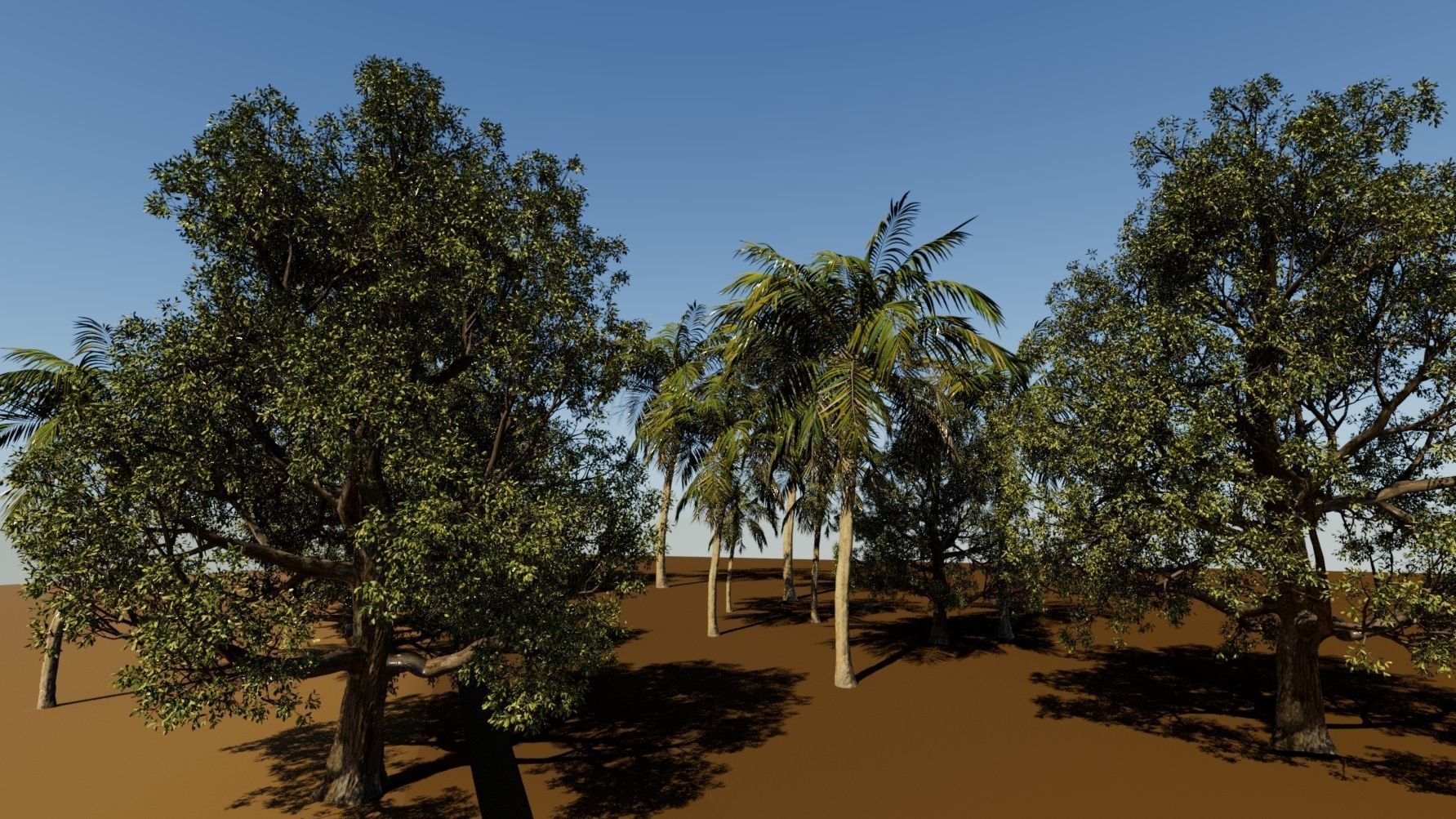 Coconut tree and 3d fantasy big tree 3D model_3