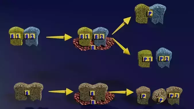 3D enzyme substrate reaction product 3D print model