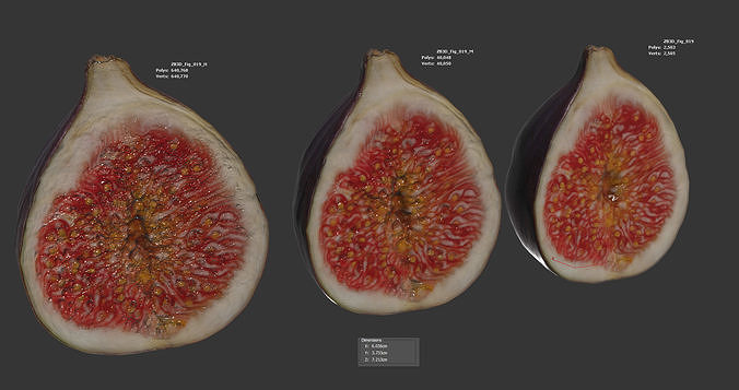 Fig   Low-poly 3D model 6