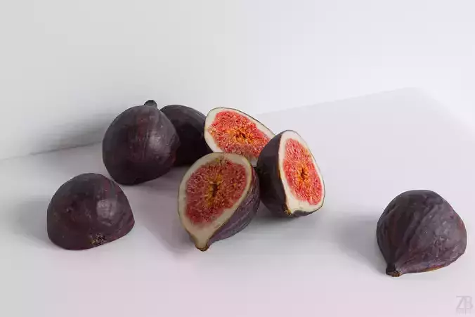 Fig   3D model