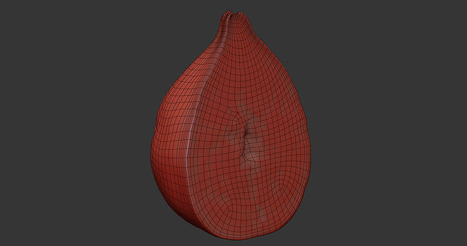 Fig   Low-poly 3D model 7