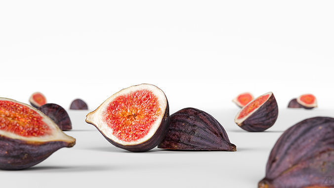 Fig   Low-poly 3D model 2