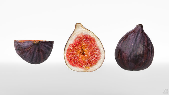 Fig   Low-poly 3D model 5