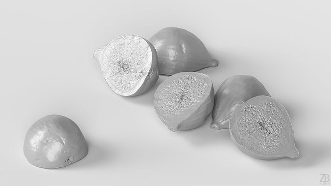 Fig   Low-poly 3D model 4