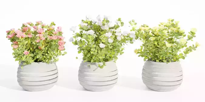 Rose flowering bushes collection vol 77-Blender 3D model