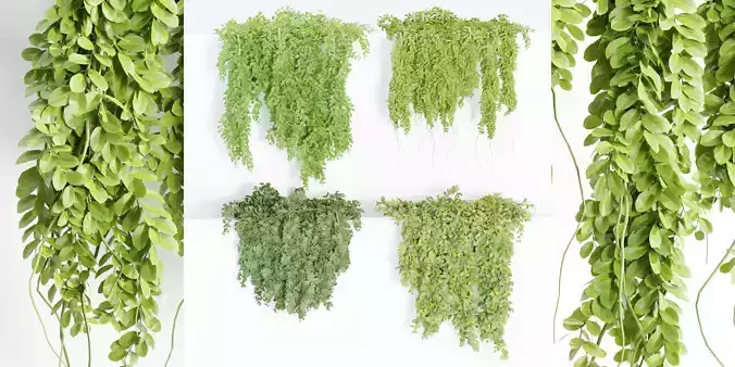 Hanging wall plants collection vol 79-Blender