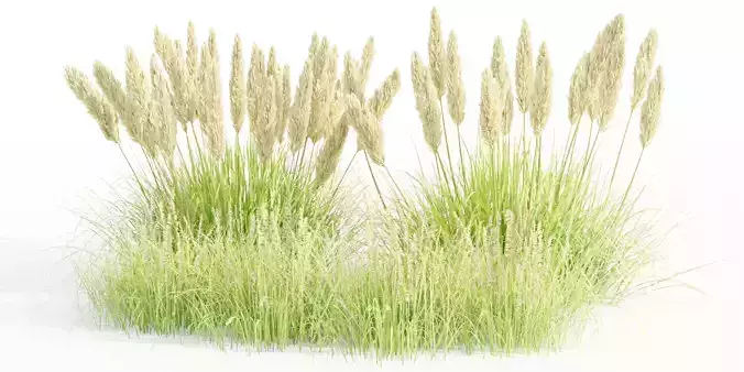 outdoor plants collection vol 80-Blender