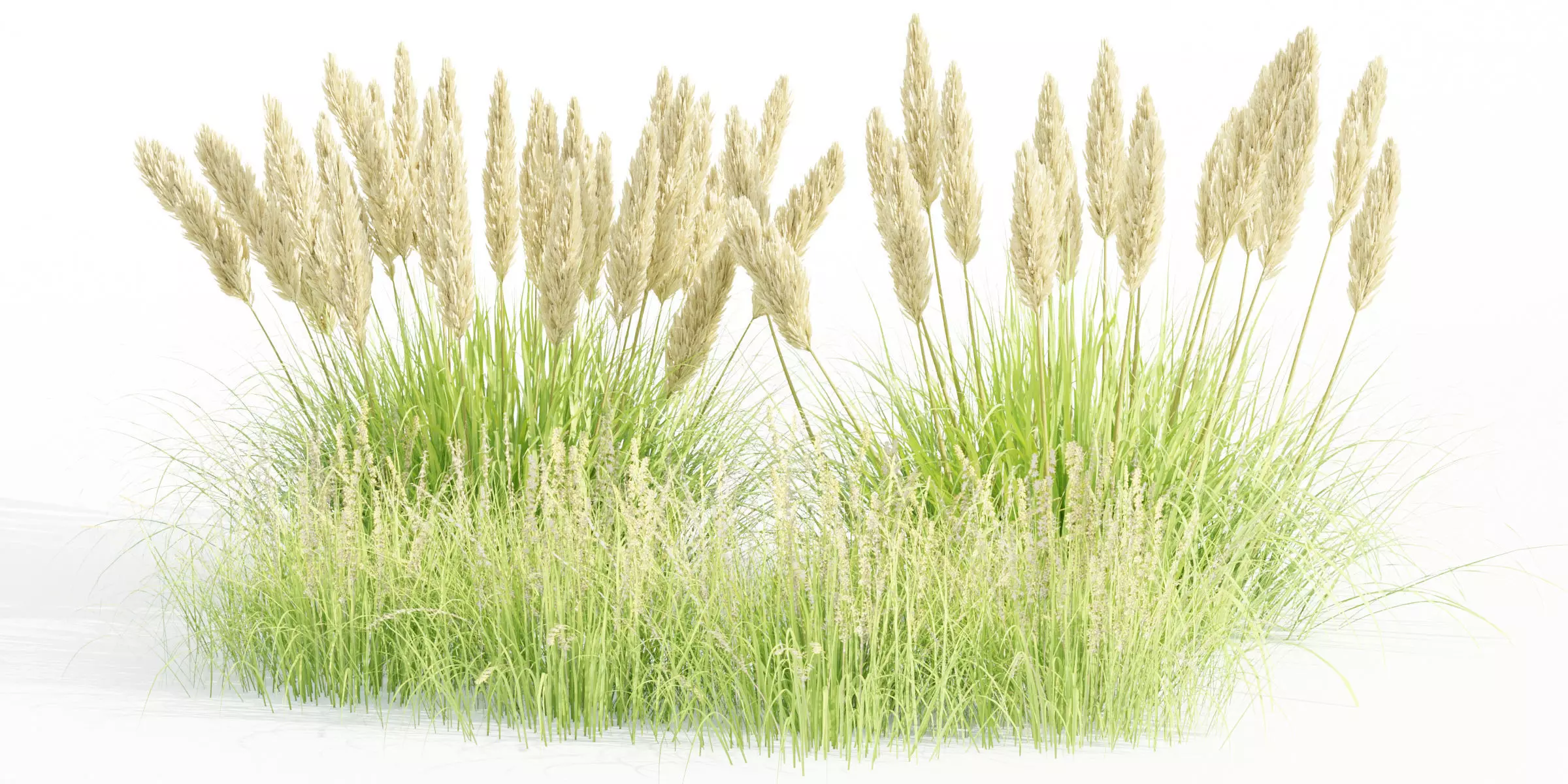 outdoor plants collection vol 80-Blender 3D model