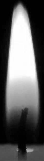 Garden seating area 3D model_10