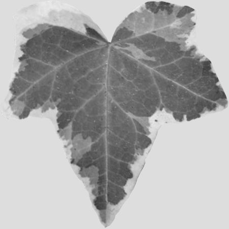 Garden seating area 3D model_20