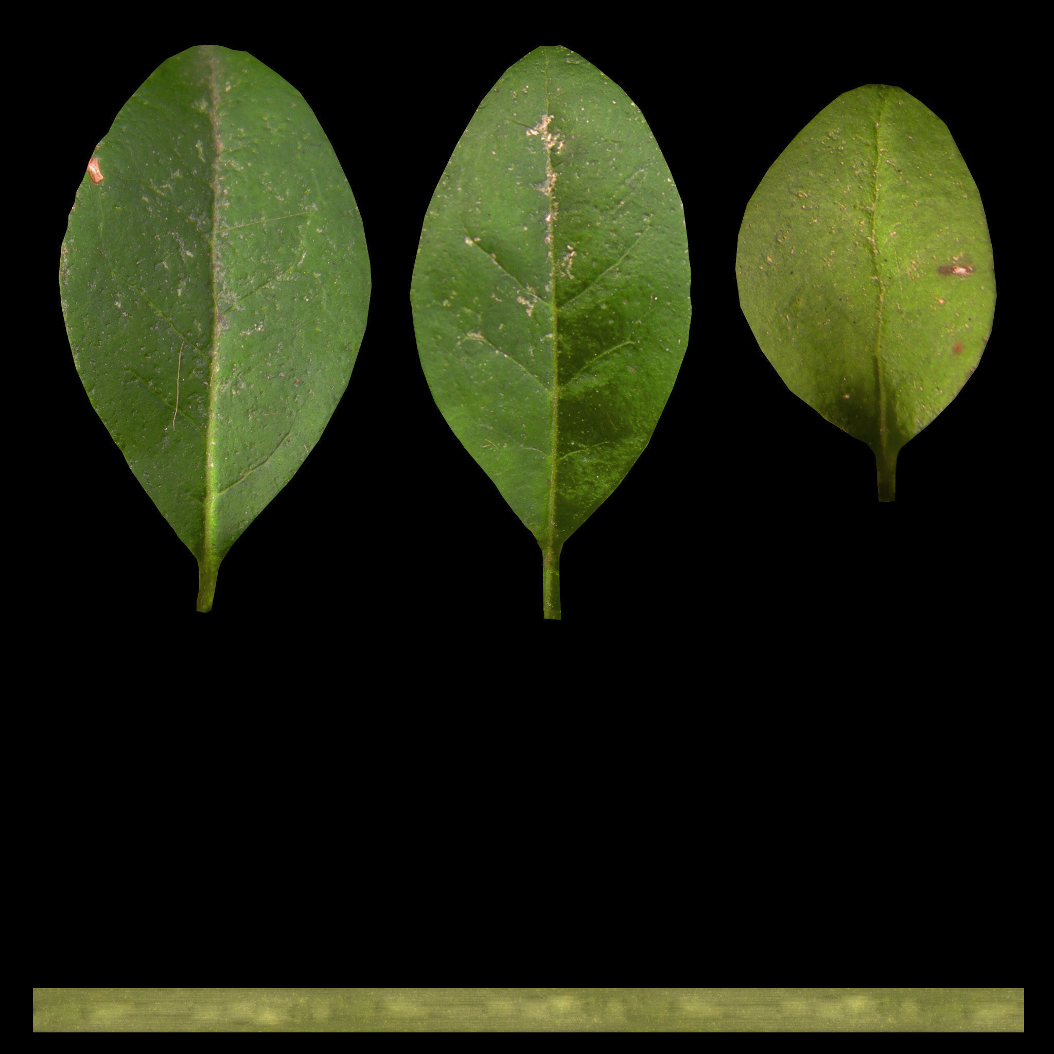 Garden seating area 3D model_6