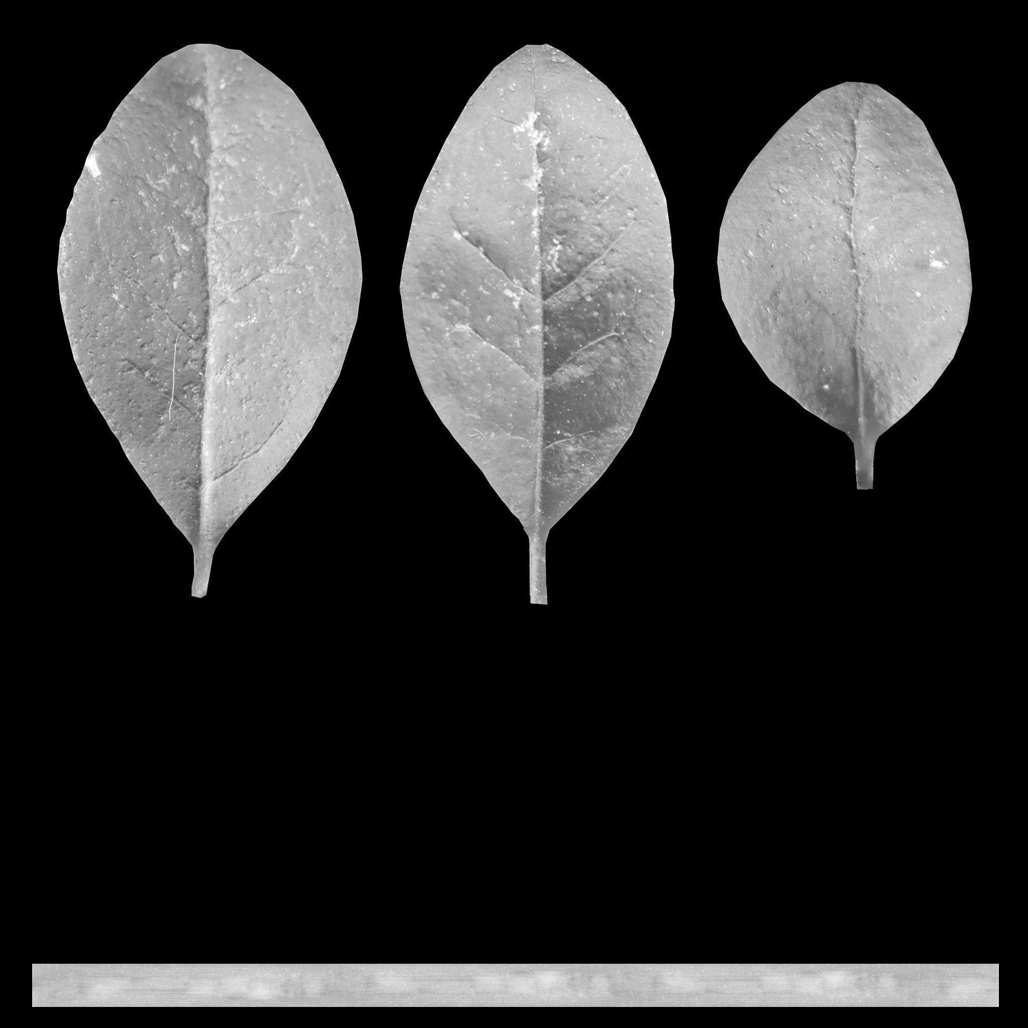 Garden seating area 3D model_8