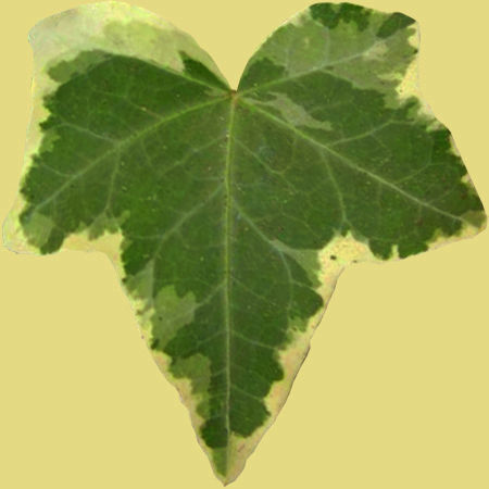 Garden seating area 3D model_21