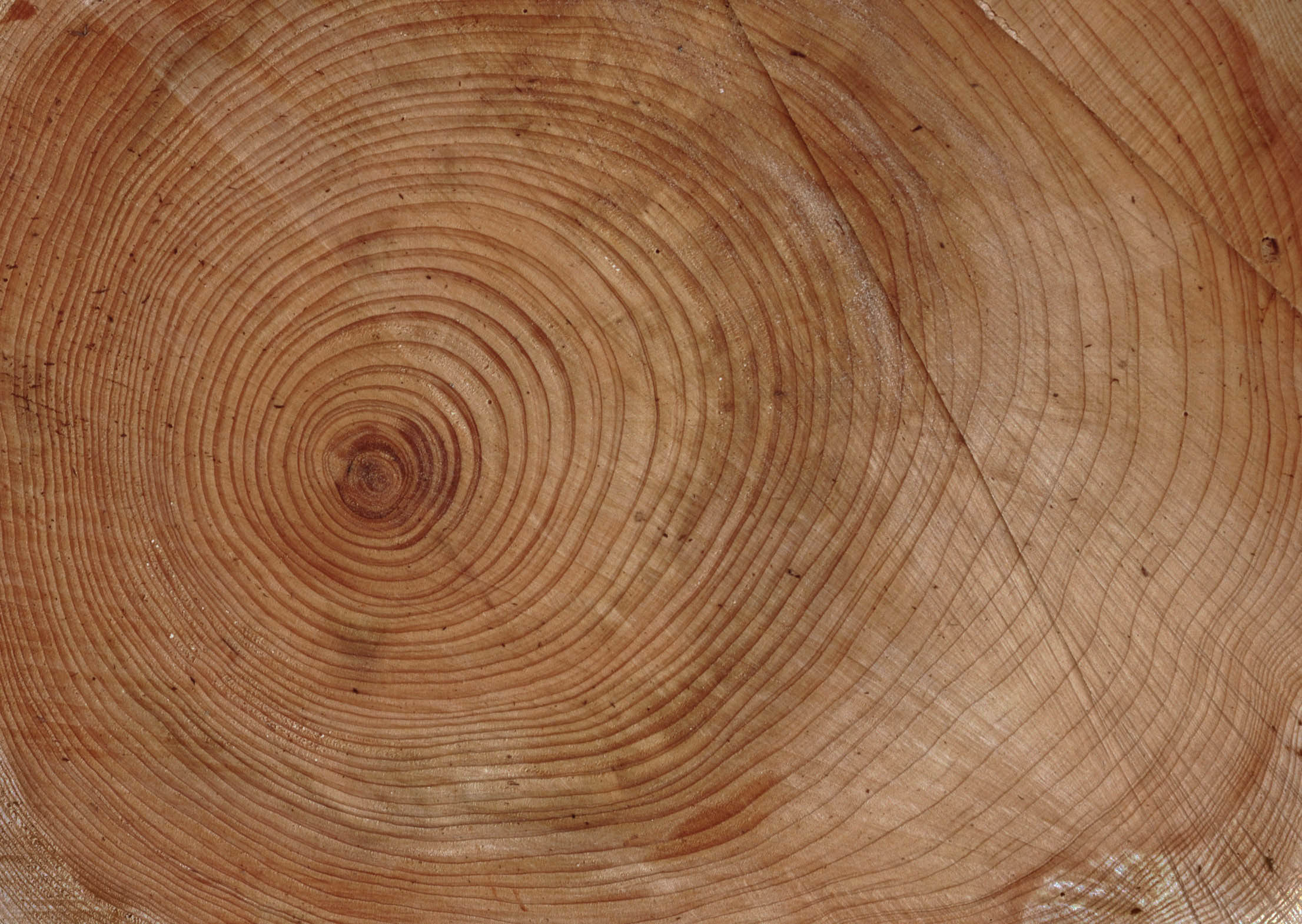 Garden seating area 3D model_37